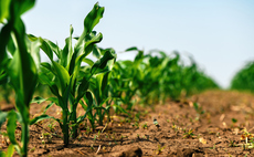 Livestock farming giants accused of failing to address climate-vulnerable supply chains