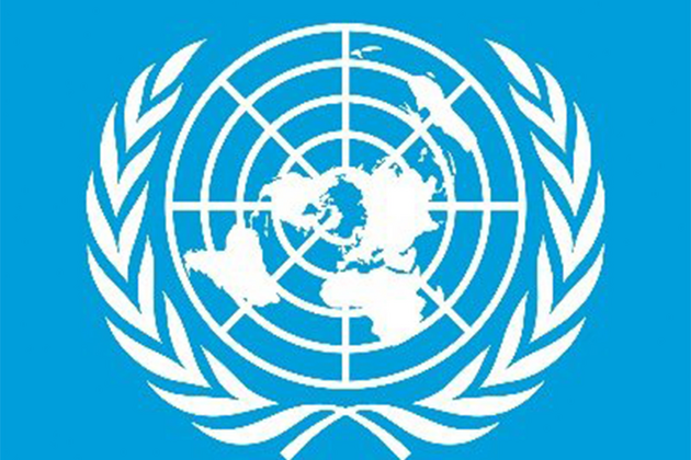 UN report highlights nutritional gaps in Pakistan's food system