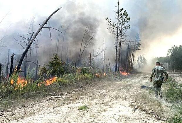 Greece flies more firefighters to battle a blaze on Crete