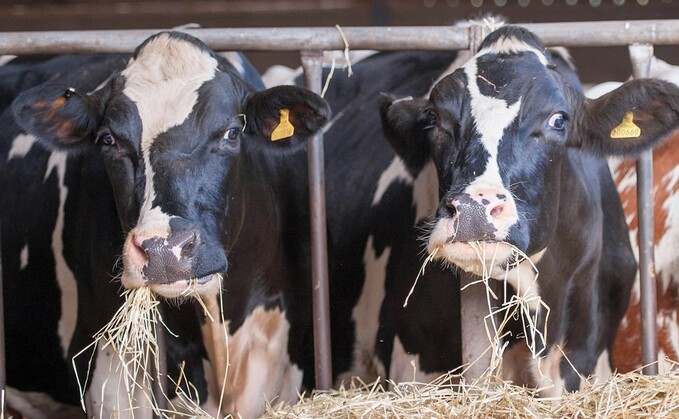 Livestock farmers are being urged to look out for symptoms of foot-and-mouth disease after a case was confirmed in Germany