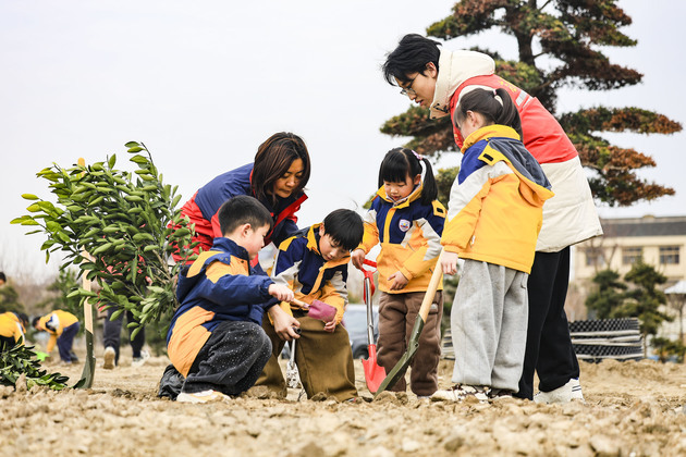 InPics | Tree planting activities held across China