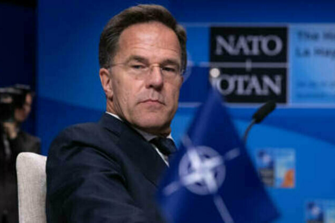 Russia winning ammunition race over NATO - Rutte
