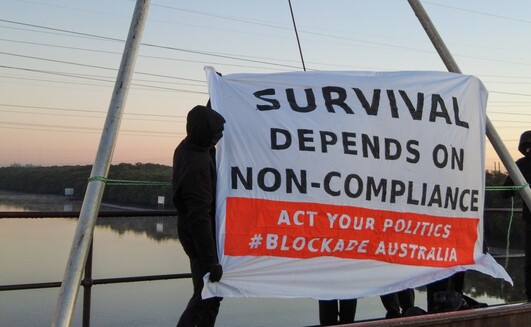 Blockade Australia is targeting rail links to the Port of Newcastle. Photo courtesy of Blockade Australia