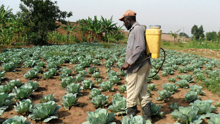 ommercial farming can improve livelihoods and propel the country towards middle income status