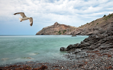 Swedish GPs and the onshore leap of faith