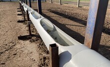 Water availability and quality is vital for livestock after a fire, especially if stock are contained.