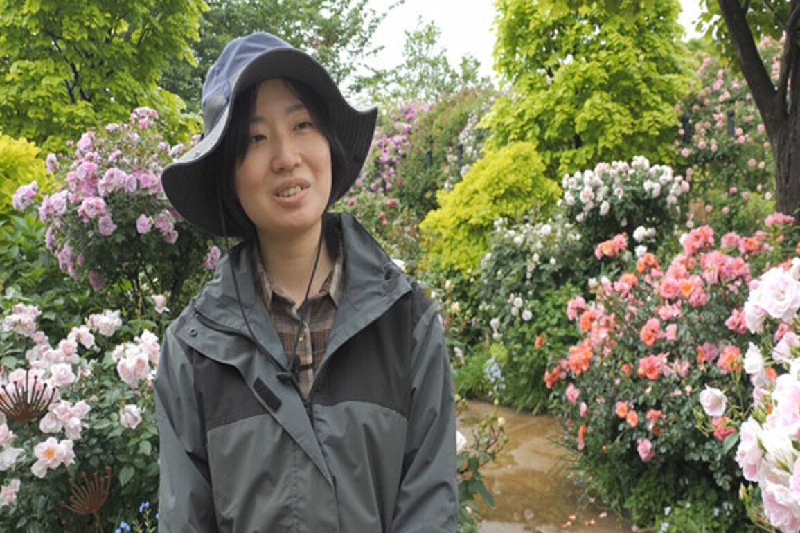 Yokohama blooms with colourful roses and lush greenery