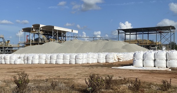 Kodal posts steady results