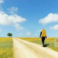 Want to walk the Camino de Santiago pilgrimage? Leave your phone at home