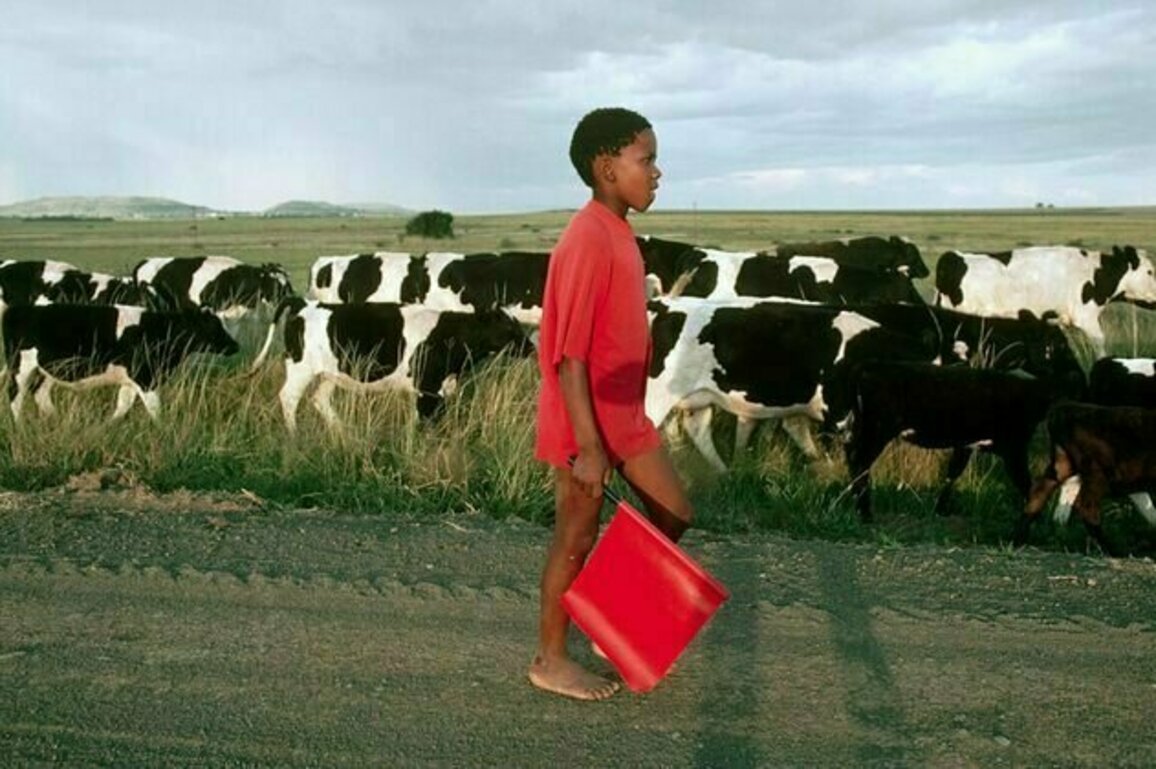 Child labour numbers rise in homes where adults are jobless - South African study
