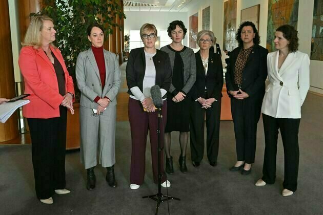 Independents may build on Australia's history of hung parliaments, if they can survive the campaign blues