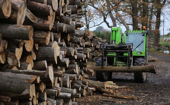 User story: Farm diversification sees renewable energy used to dry logs
