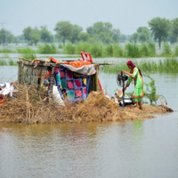 Pakistan: Over 120 dead in Punjab as torrential rains, floods wreak havoc