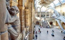 Hintze Hall Monkeys at the Natural History Museum. Photo: NHM