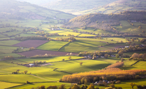 Tenant farmers to 'press the case' for rent reductions