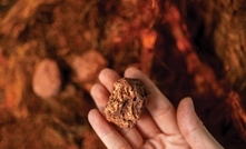 The processing trial will help to de-risk downstream development.