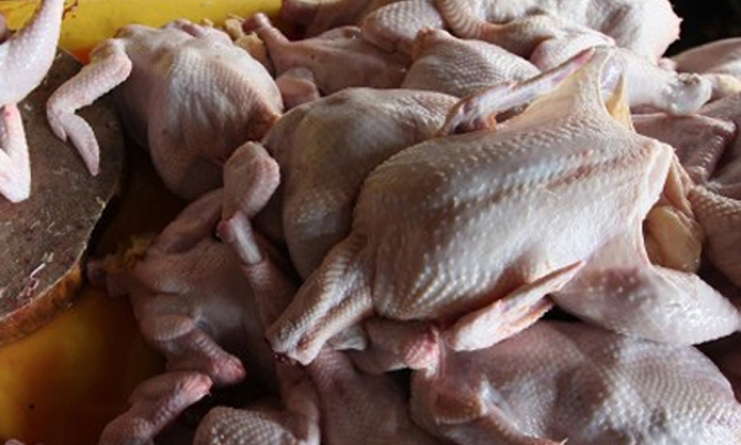 COMESA warns region over South African chicken COMESA warns region over South African chicken