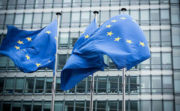 グローバルブリーフィング: EU、企業持続可能性デューデリジェンス法の採決を延期