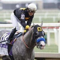 Napoleon Solo captures Preakness; top 3 did not run in Kentucky Derby