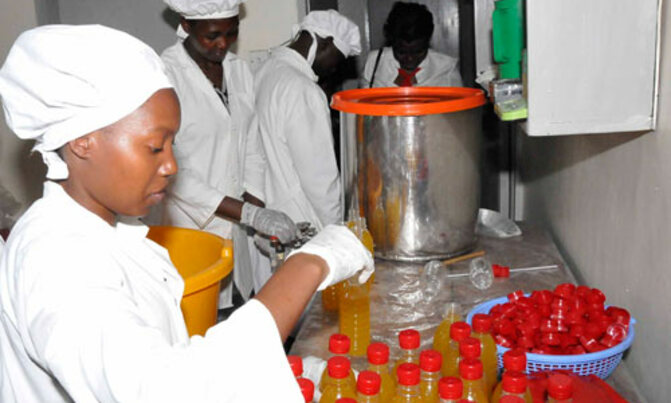 Expert says gov't should prioritize agribusiness incubation Expert says gov't should prioritize agribusiness incubation