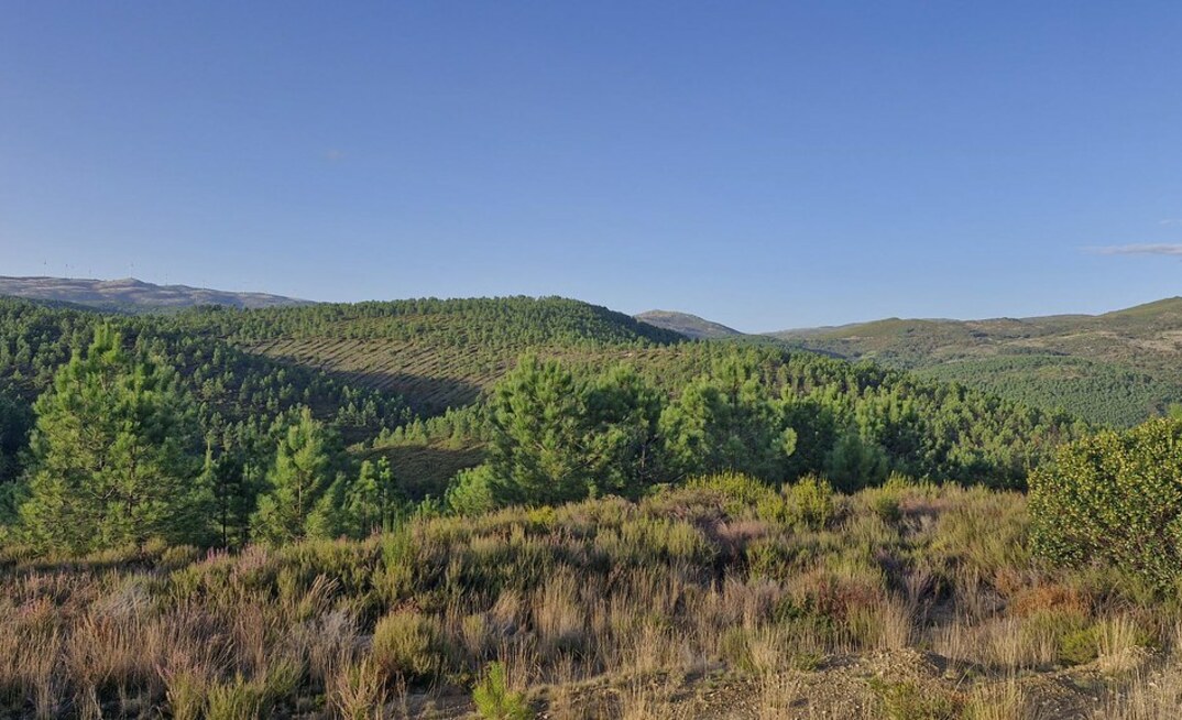 The view from the Barroso lithium project in Portugal