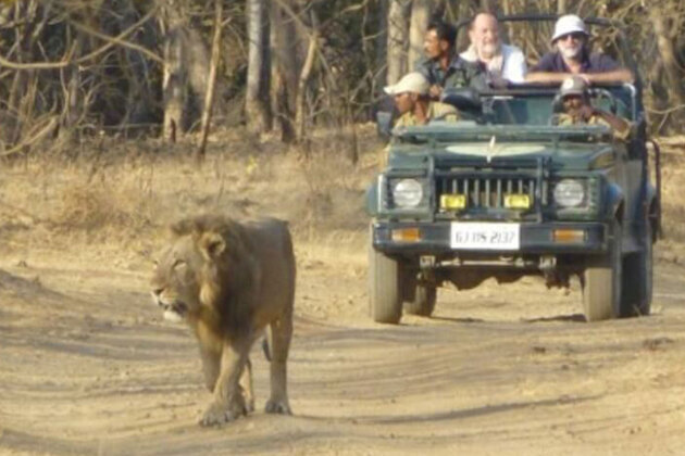 Gujarat among top 3 states visited by foreign tourists since 2024