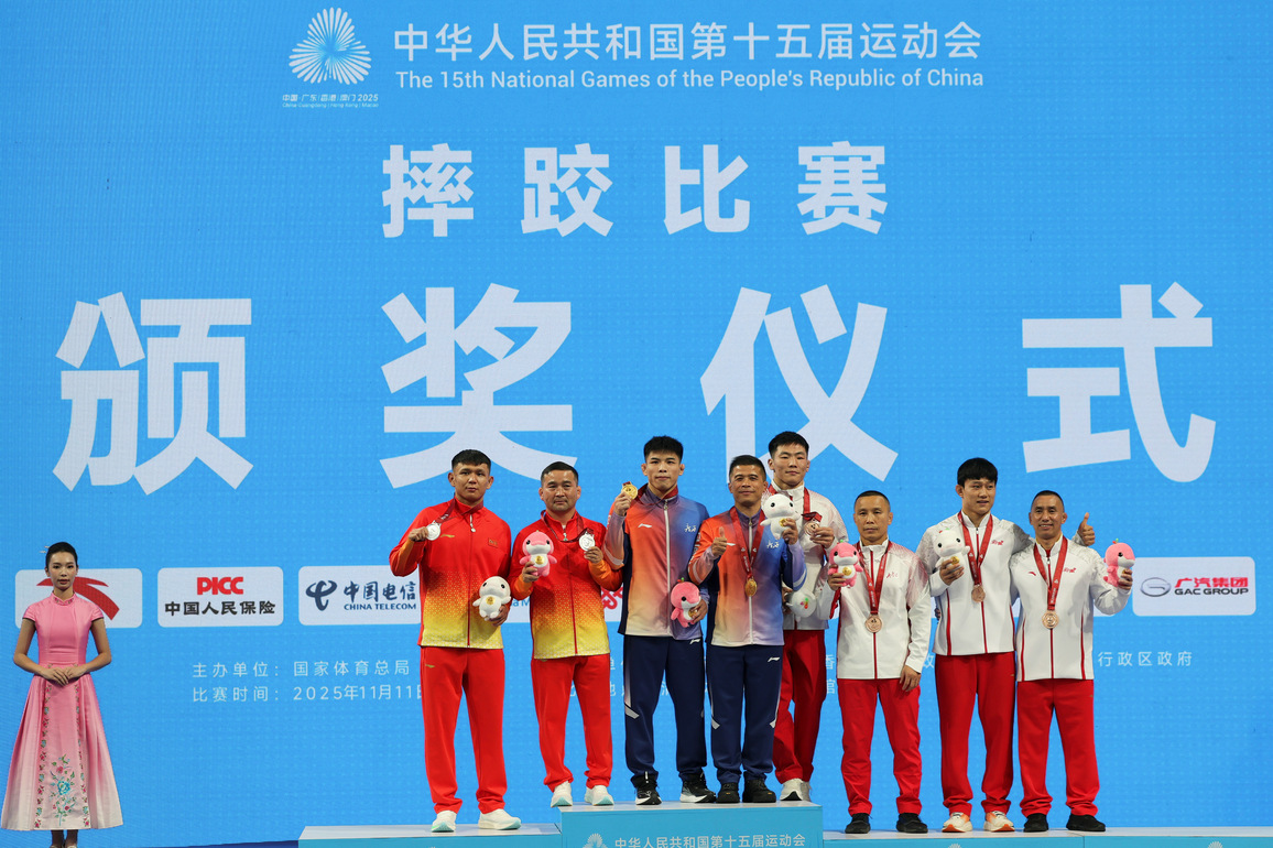 (SP)CHINA-15TH NATIONAL GAMES-WRESTLING-FREESTYLE-MEN'S 74KG-FINAL (CN)