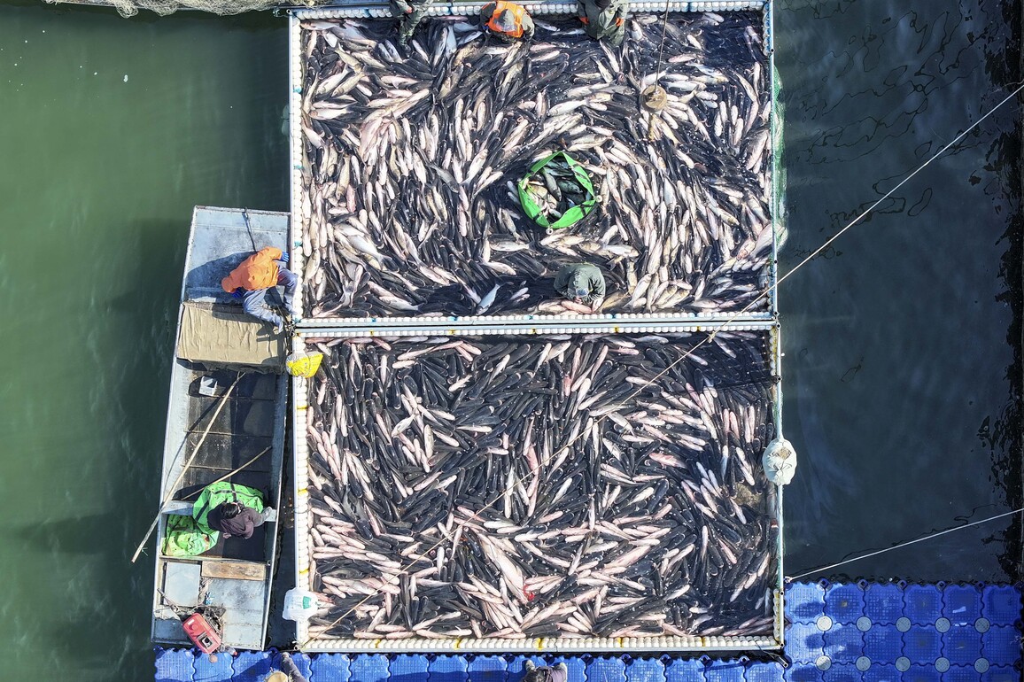 #CHINA-JIANGSU-TAIZHOU-WINTER FISHING (CN)