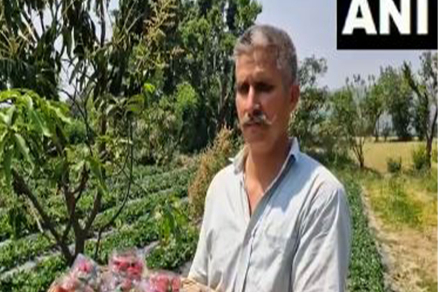 Ex- serviceman Jatinder Singh turns to strawberry cultivation in Reasi