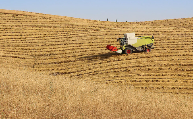 Wheat yields disappointing but quality fair