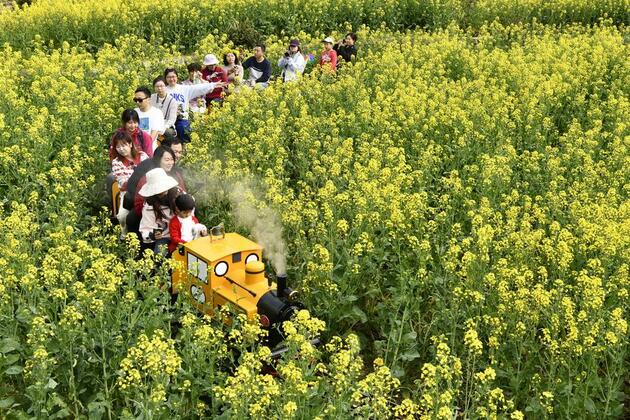 Flower-viewing tourism gets tech boost