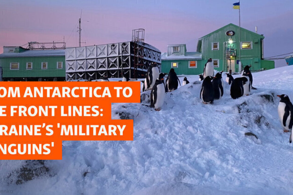 From Antarctica To The Front Lines: Ukraine's 'Military Penguins'