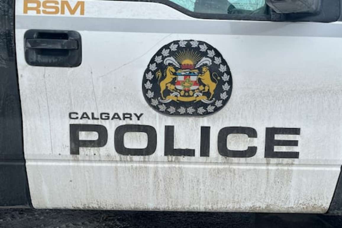 Calgary police see decrease in officer-public interactions, use of force