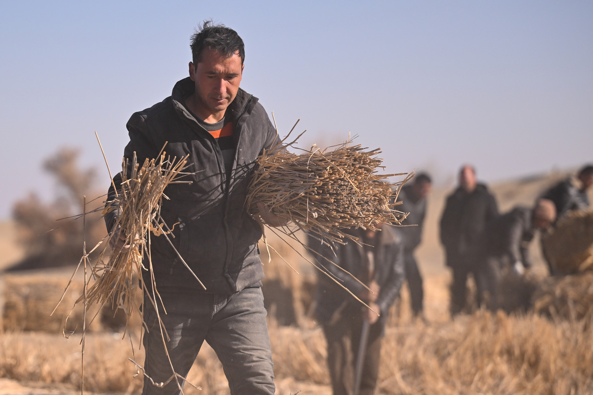 (EcoChina)CHINA-XINJIANG-MOYU-WINTER-SAND CONTROL (CN)