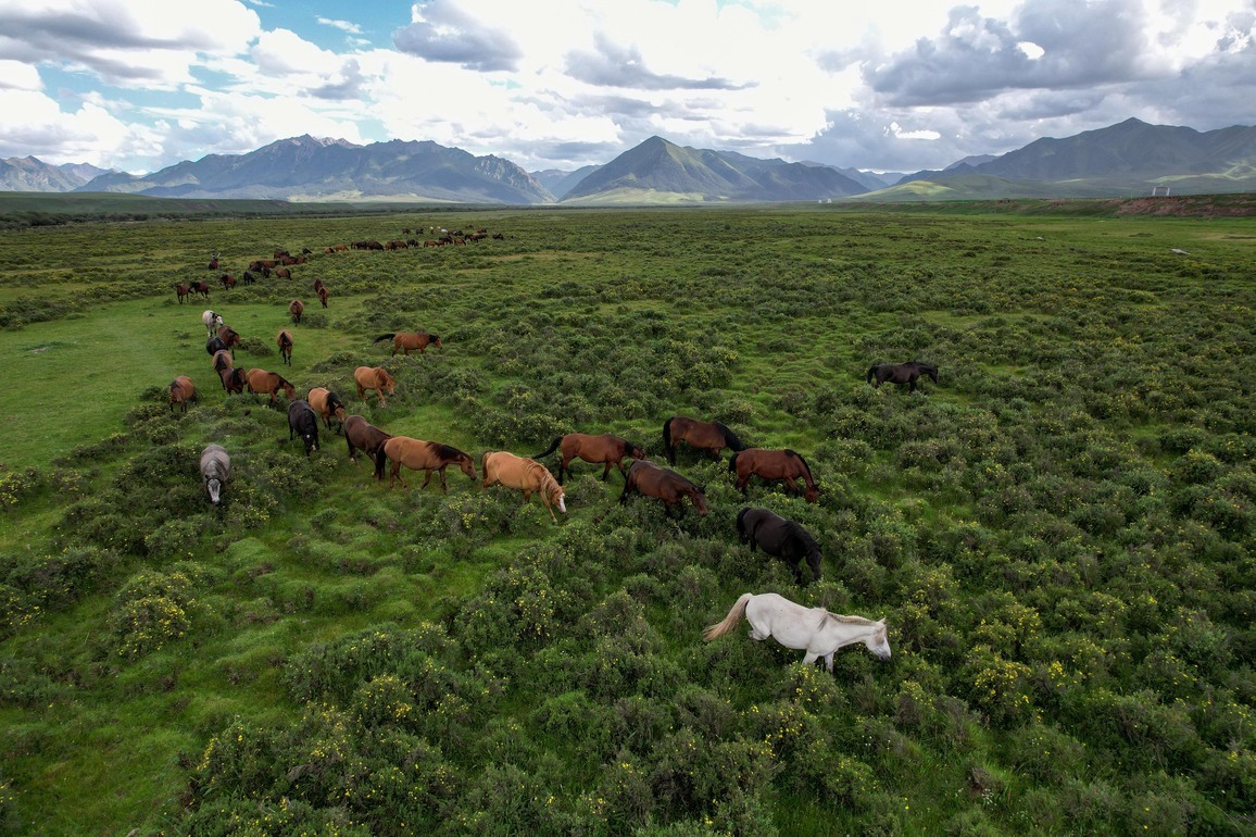 New study unveils grassland restoration enhances crop yields by regulating local climate