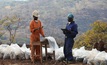 Tanzania's Ngualla project is one of the largest undeveloped REE deposits in the world. Photo: Peak Rare Earths