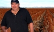 Sorghum variety a winner in dry conditions