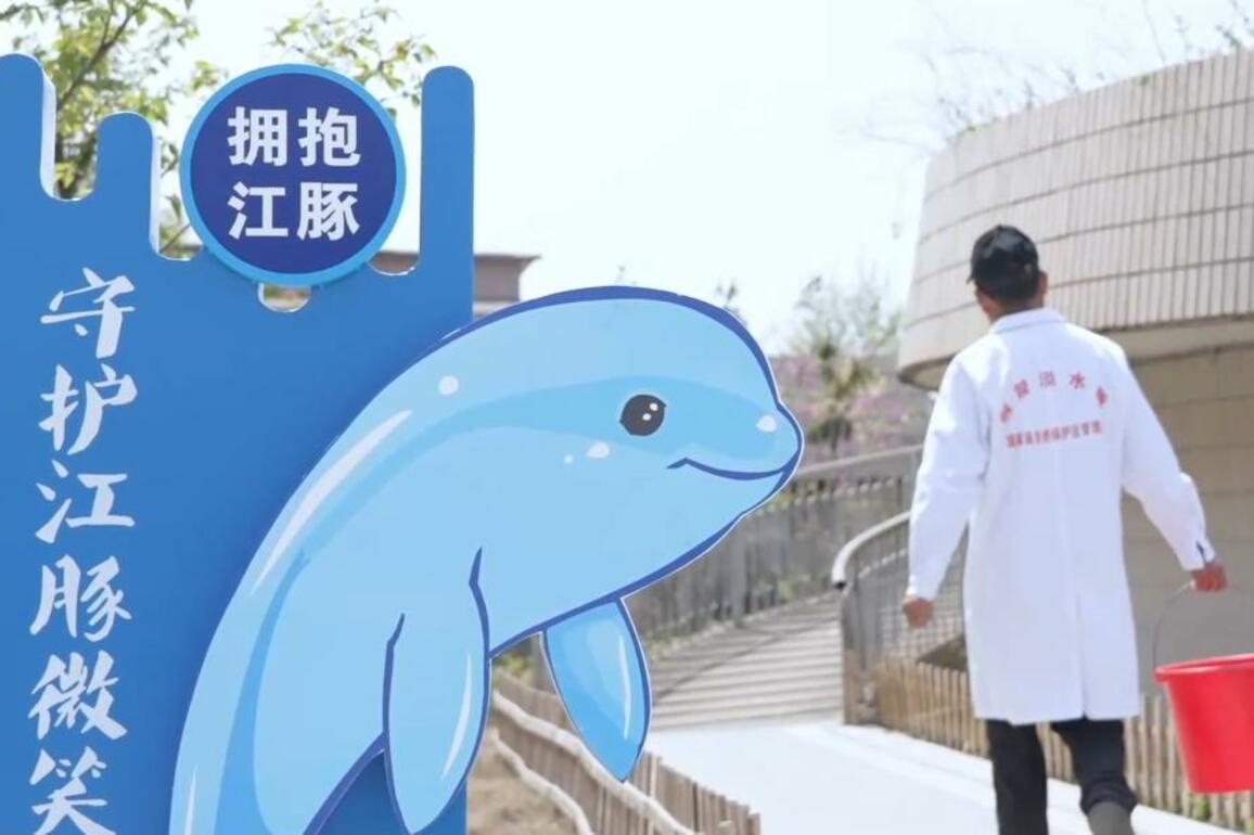 GLOBALink | Breeder of Yangtze finless porpoise in east China's Anhui