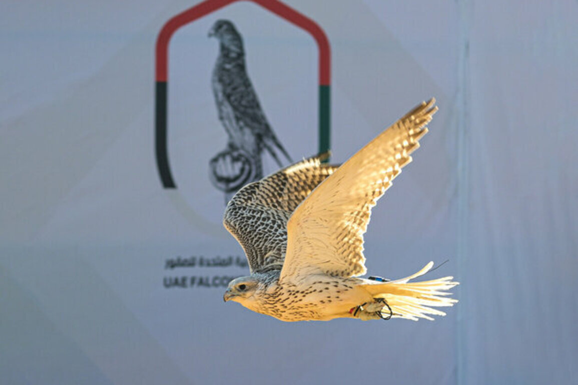 Emirates Falcons International Cup to mark launch as annual event starting from 2025-2026 season