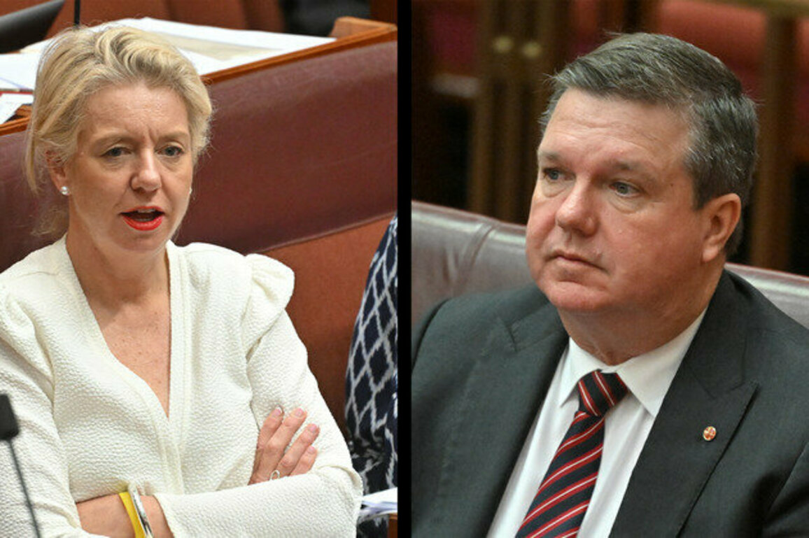 View from The Hill: Coalition split puts Victorian and NSW Nationals Senate seats at high risk