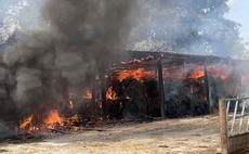 Calves rescued as major fire rips through farm