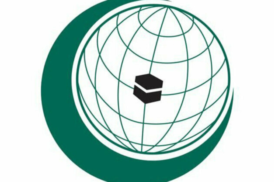 OIC Foreign Ministers Council announces reinstatement of Syria's membership