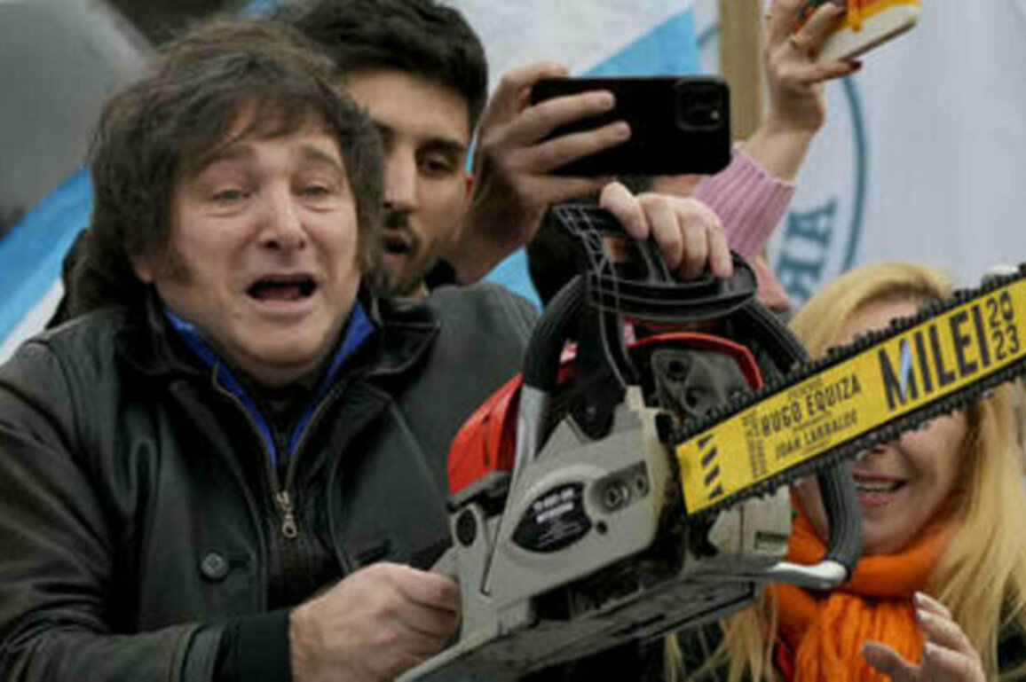 This president took a chainsaw to his BRICS prospects, and look where it got his country