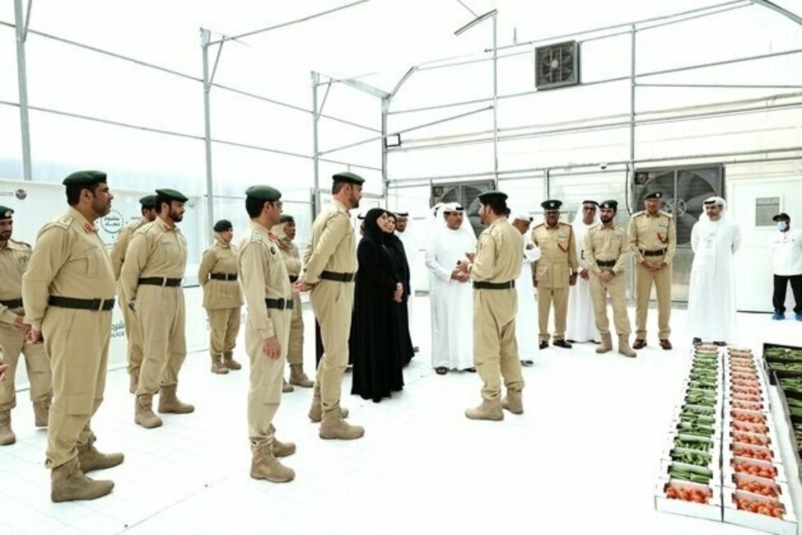 'Hasad' agricultural project a model for food security support: Minister of Climate Change and Environment