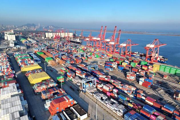 Global GDP growth projection revised down to 3.2 pct in 2025, 2.9 pct in 2026: OECD