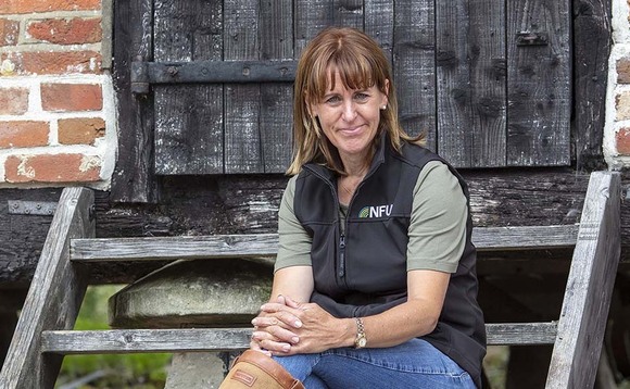 Defras labelling plans must be killed off, says NFU president