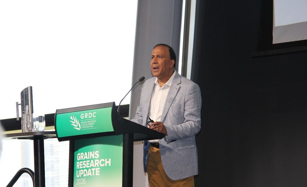 UWA's Kadambot Siddique discussed the challenges and opportunities for the WA pulse industry at the GRDC grains research updates in Perth.