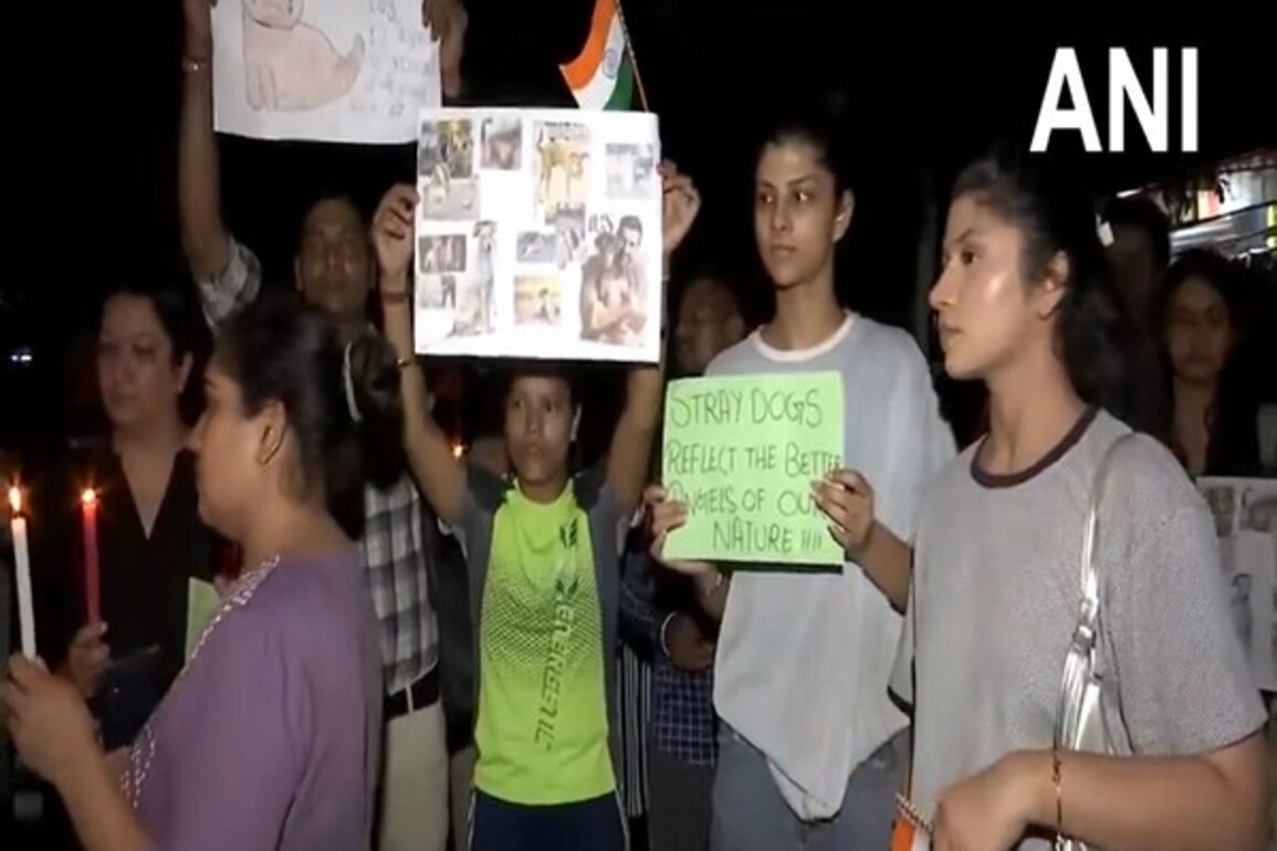 Candlelight march observed in Rohini against SC's order to remove stray dogs from Delhi-NCR region