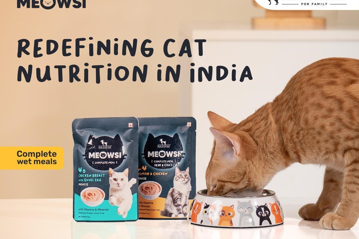 Meowsi by HUFT Takes the Lead on Redefining Cat Nutrition in India