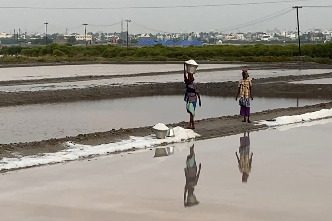 Tamil Nadu: Coastal areas of Thoothukudi District witness degradation, affecting overall coastal life